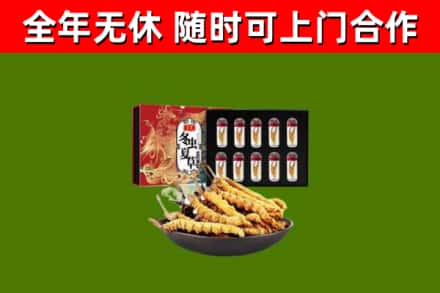 北海回收冬虫夏草价格