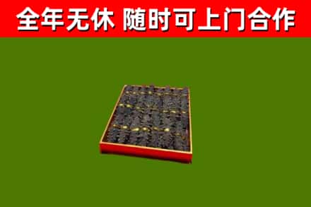 北海回收海参